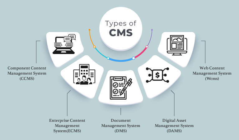 What are the different types of cms
