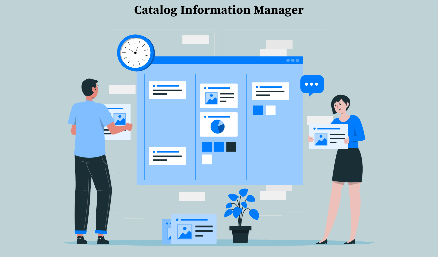 What is catalog information manager